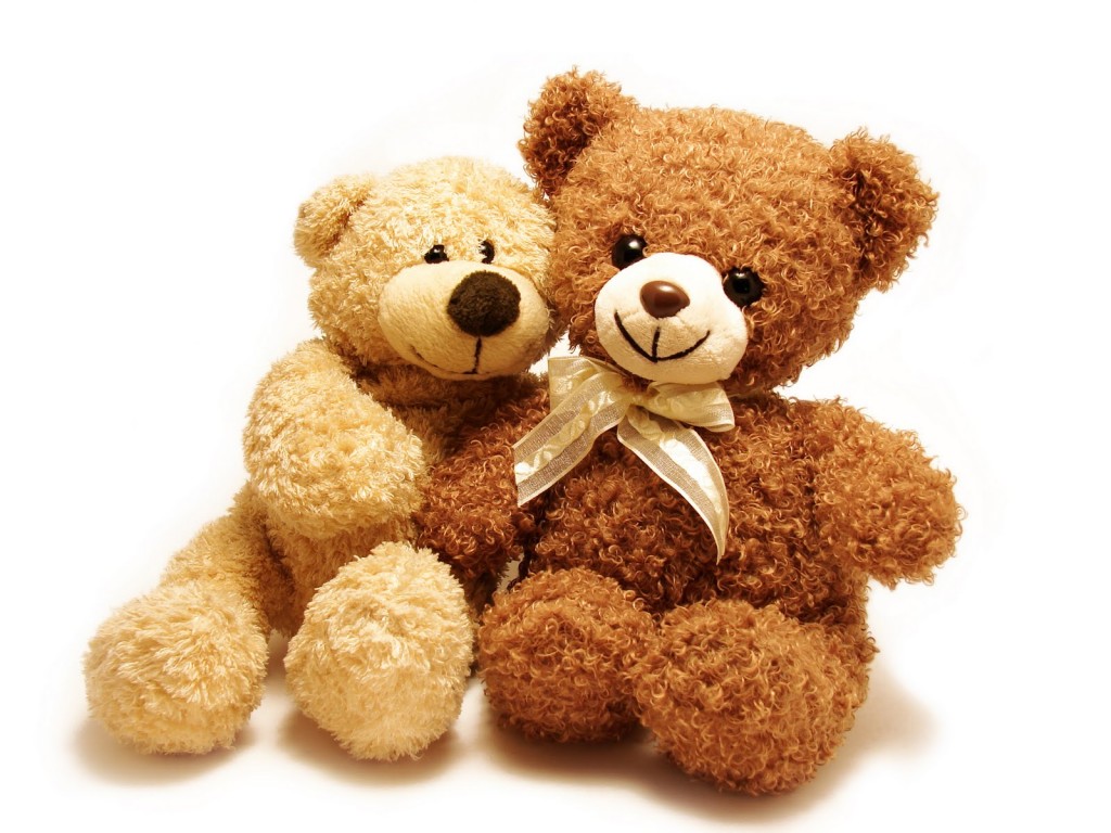 two teddy-bears sitting with their arms around each other isolated in white
