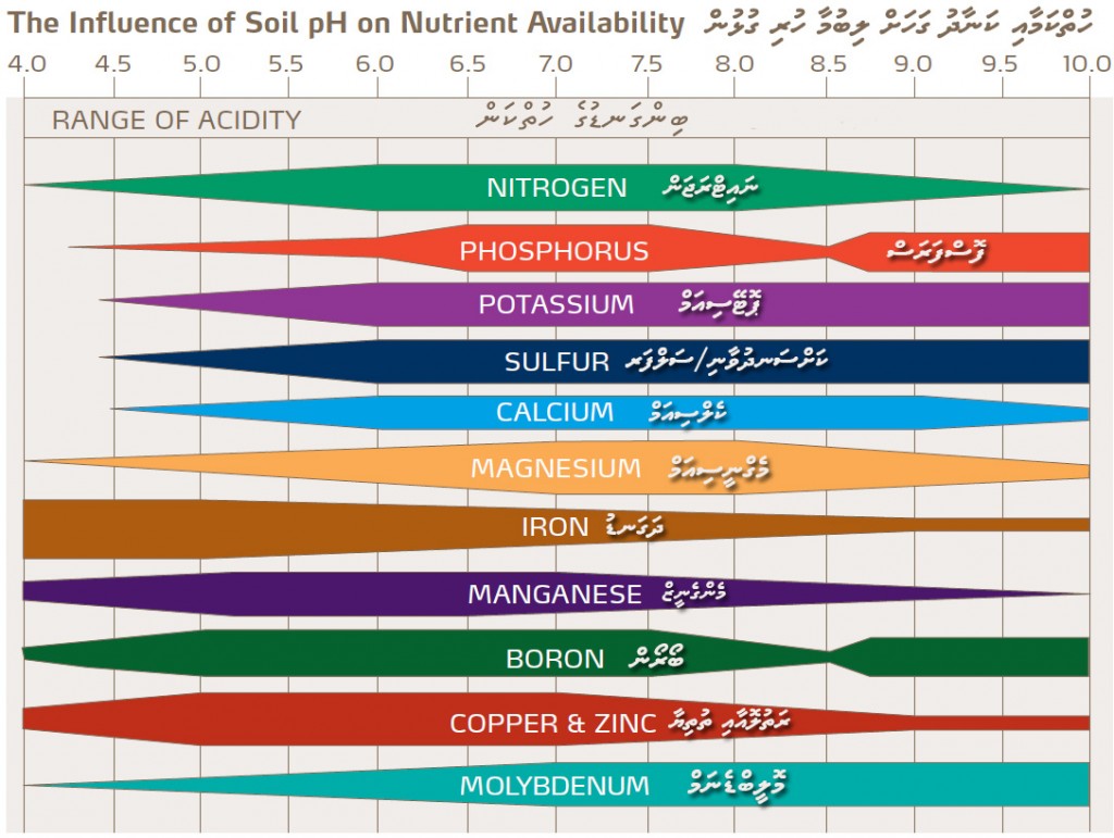 Dhivehi-soil-and-water-requirements-image