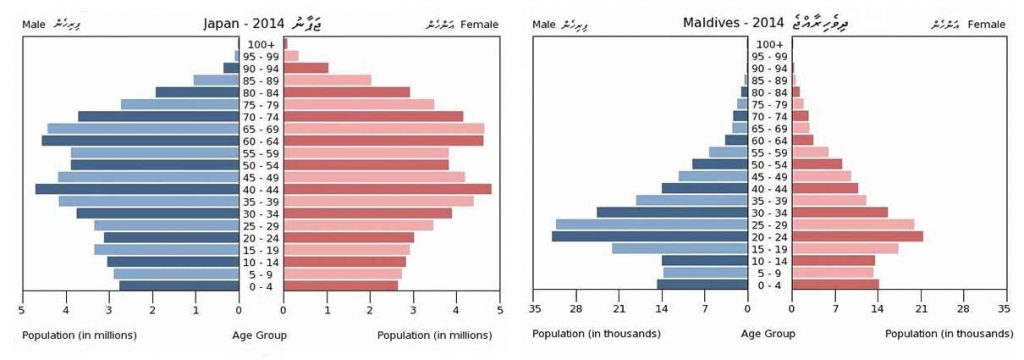 japan-population-pyramid-2014