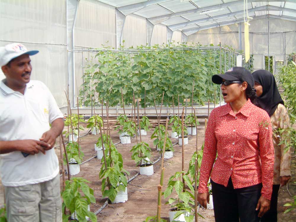 agriculturecentre2