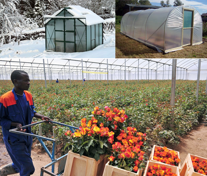 greenhouse_types