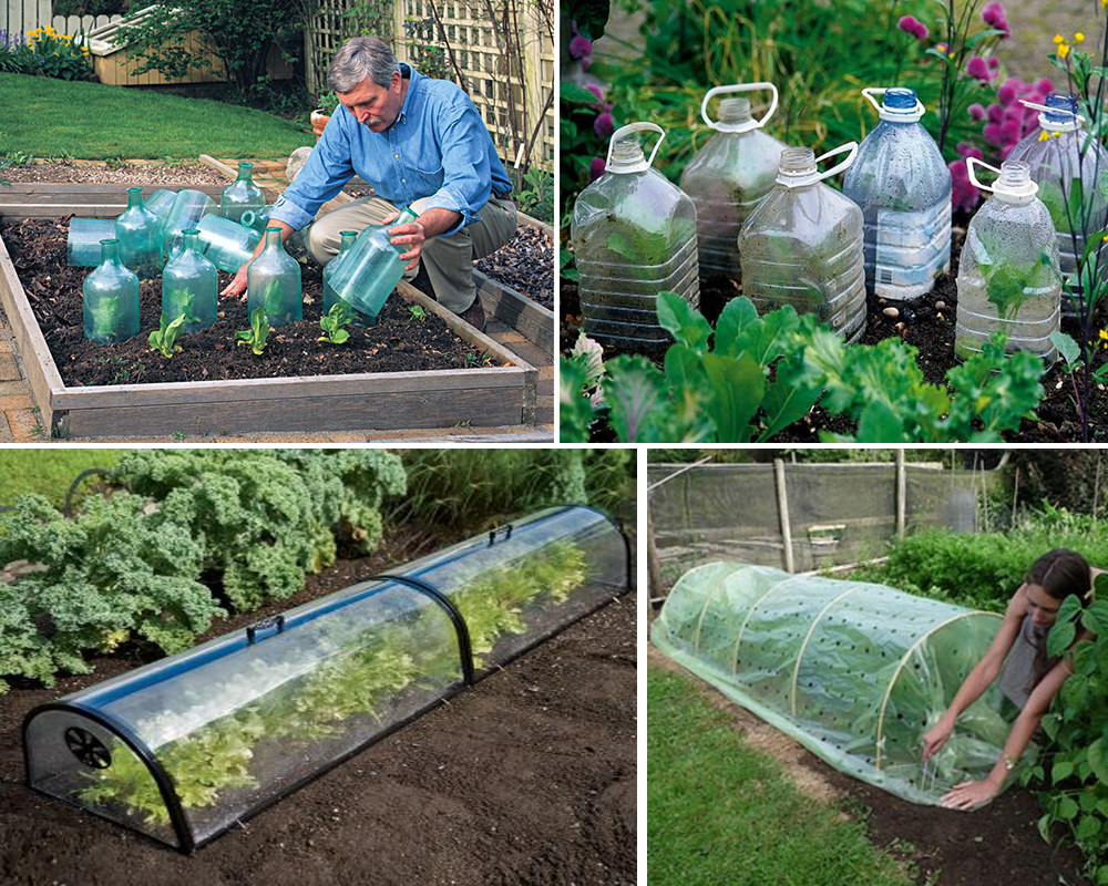 plastic-small-greenhouses