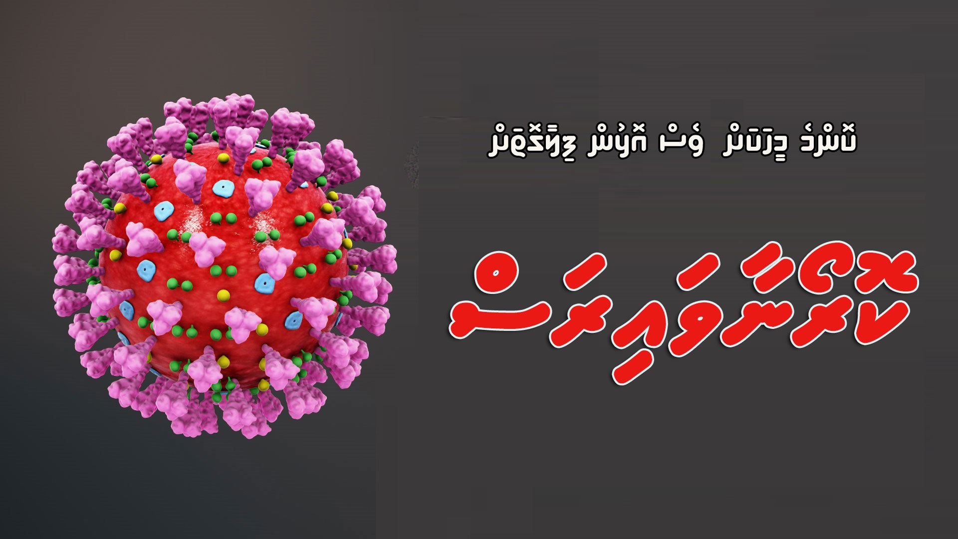 coronavirus1
