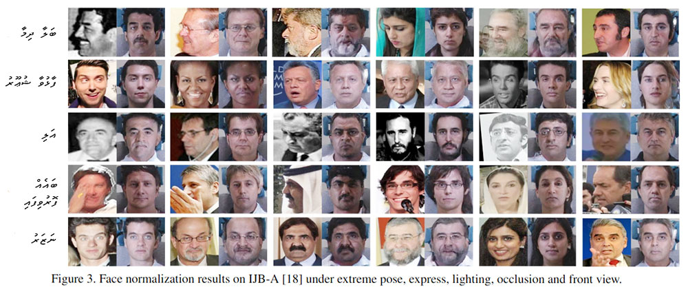 face-normalization-results