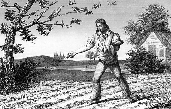 french-agriculture-sowing-seed-broadcast-14844748.jpg